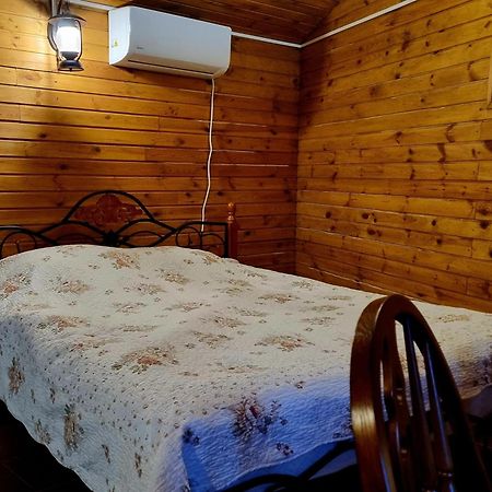 Castel Unghern Ivancea Экстерьер фото